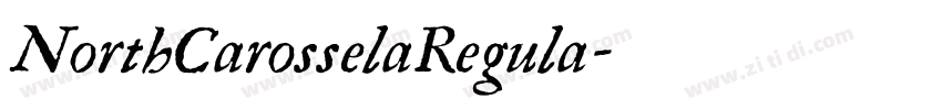 NorthCarosselaRegula字体转换