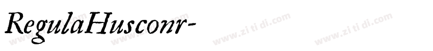 RegulaHusconr字体转换