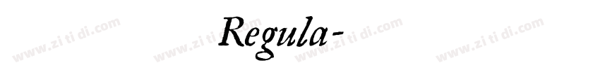 黄引齐招牌Regula字体转换