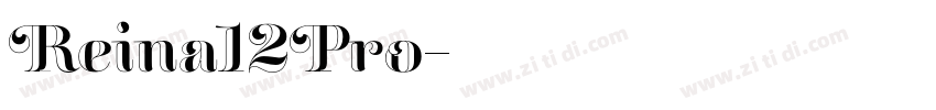 Reina12Pro字体转换