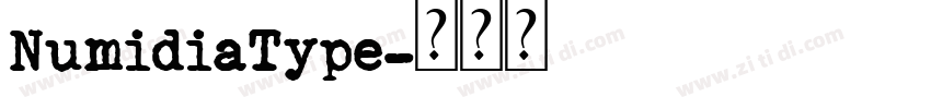 NumidiaType字体转换