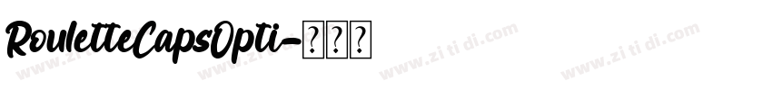 RouletteCapsOpti字体转换