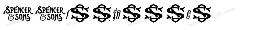 SJruisonghei字体转换