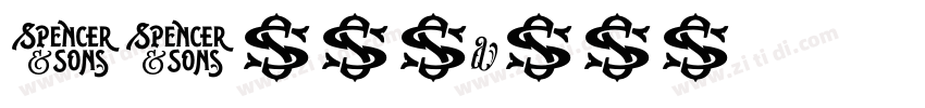 SJzhuanli字体转换