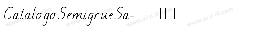 CatalogoSemigrueSa字体转换