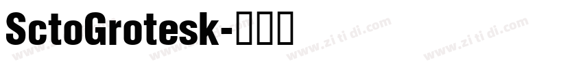SctoGrotesk字体转换