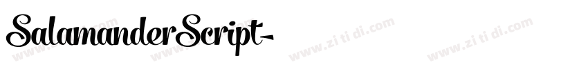 SalamanderScript字体转换