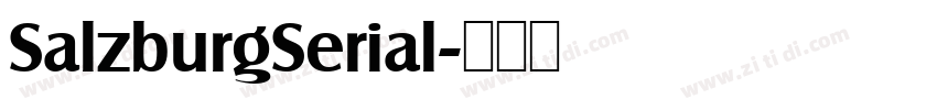 SalzburgSerial字体转换