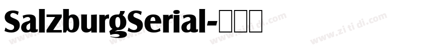 SalzburgSerial字体转换
