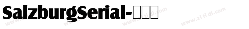 SalzburgSerial字体转换