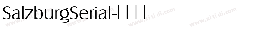SalzburgSerial字体转换
