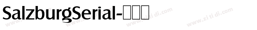 SalzburgSerial字体转换