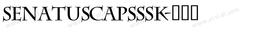 SenatusCapsSSK字体转换