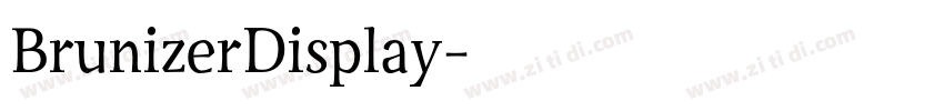 BrunizerDisplay字体转换
