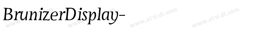 BrunizerDisplay字体转换