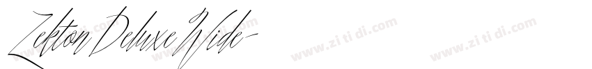 ZektonDeluxeWide字体转换