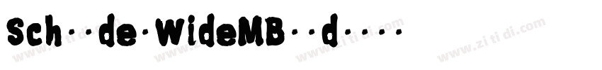 SchnyderWideMBold字体转换