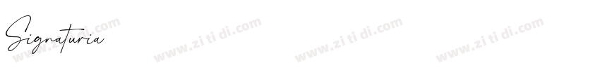 Signaturia字体转换