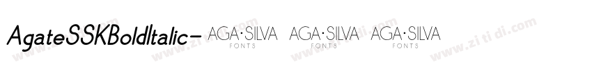 AgateSSKBoldItalic字体转换