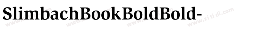 SlimbachBookBoldBold字体转换