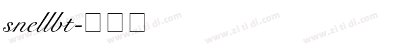 snellbt字体转换