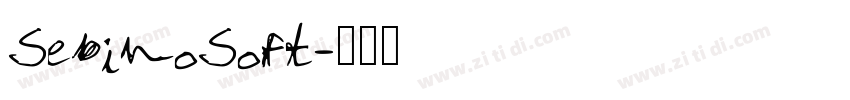 SebinoSoft字体转换