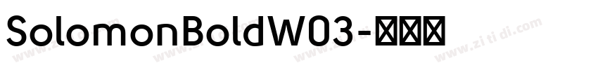 SolomonBoldW03字体转换