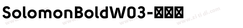 SolomonBoldW03字体转换