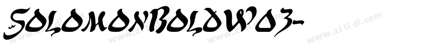 SolomonBoldW03字体转换