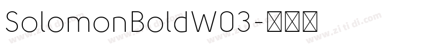 SolomonBoldW03字体转换