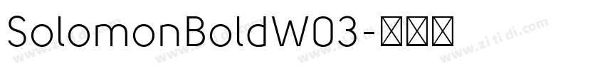 SolomonBoldW03字体转换