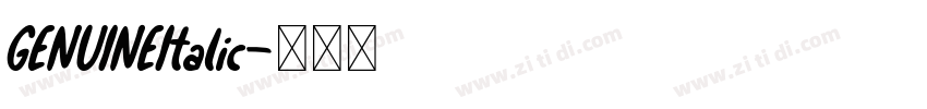 GENUINEItalic字体转换 GENUINEItalic字体转换
