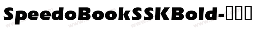 SpeedoBookSSKBold字体转换