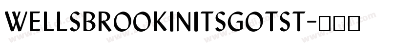 WellsbrookInitSGOTSt字体转换