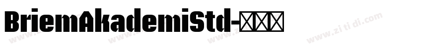 BriemAkademiStd字体转换
