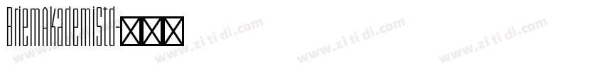 BriemAkademiStd字体转换