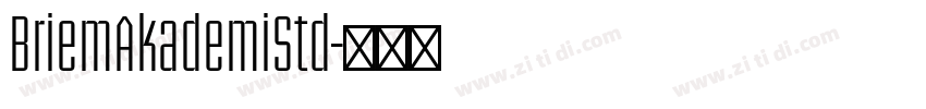 BriemAkademiStd字体转换