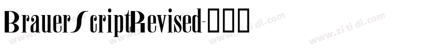 BrauerScriptRevised字体转换