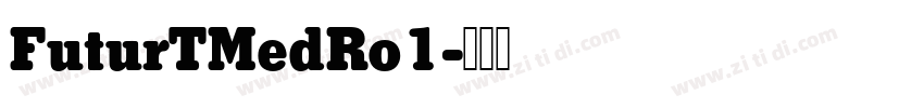 FuturTMedRo1字体转换