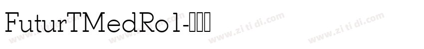 FuturTMedRo1字体转换