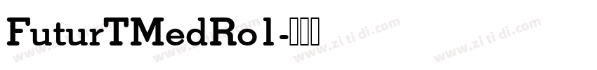 FuturTMedRo1字体转换