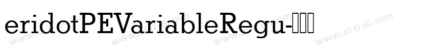 eridotPEVariableRegu字体转换
