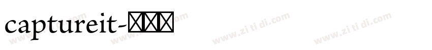 captureit字体转换