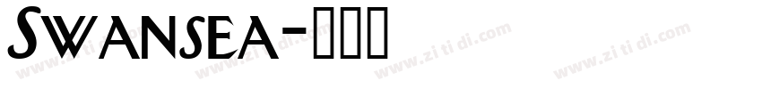 Swansea字体转换