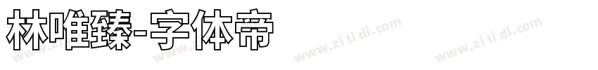 林唯臻字体转换