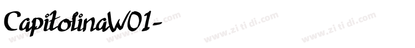 CapitolinaW01字体转换