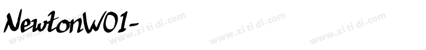 NewtonW01字体转换