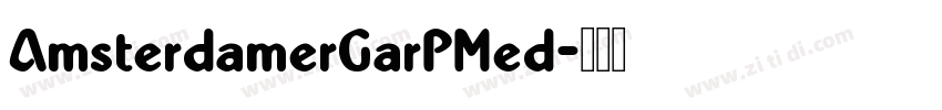 AmsterdamerGarPMed字体转换