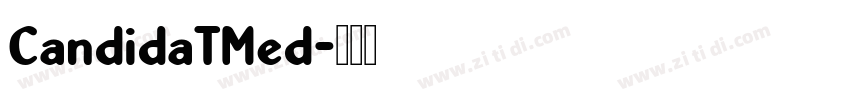 CandidaTMed字体转换