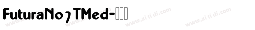 FuturaNo7TMed字体转换